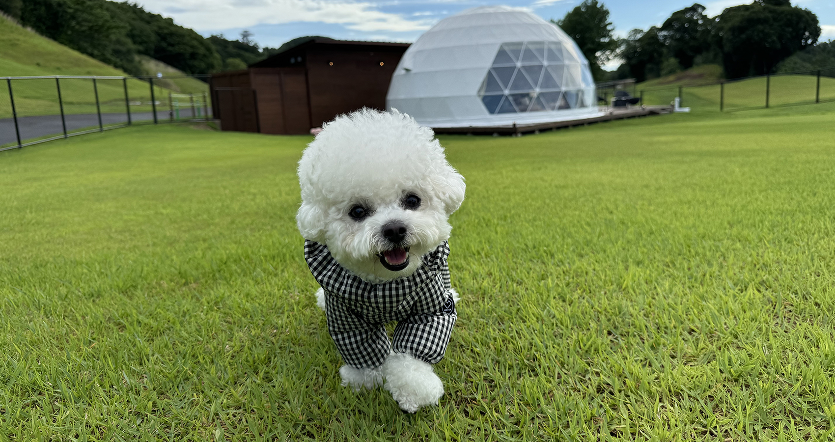 愛犬とご宿泊